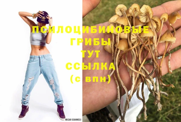 альфа пвп Баксан